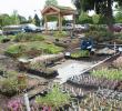 Newberg Oregon High School Greenhouse