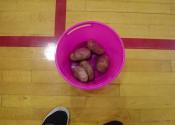 Crazy Hair Day/Potato Drop