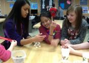 marshmellow and toothpick bridge!