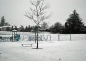 Newberg Oregon School District