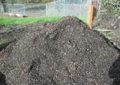 Finished Compost