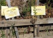 Compost Demo Area