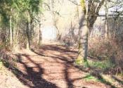 Eagle Scout Trail Project