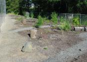 Phenology Garden early stages
