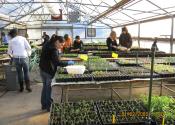 Greenhouse/Horticulture Class