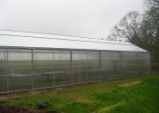 New Greenhouse Back