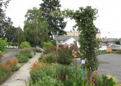 Water Wise Plantings