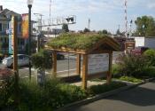 Waterwise Garden