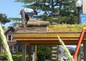 Waterwise Garden Green Roof