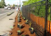 99W Beautification Project
