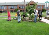 Library Planting