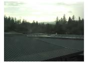 Newberg Oregon School District