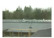 Newberg Oregon School District