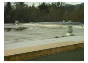 Newberg Oregon School District