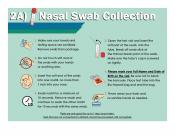 2A) Nasal Swab Collection