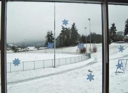 Newberg Oregon School District