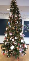 Newberg Oregon School District