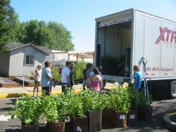 NORP delivery of Riparian trees and shrubs