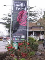 Camellia festival