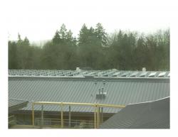 Newberg Oregon School District